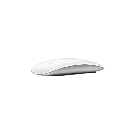 Magic Mouse 2