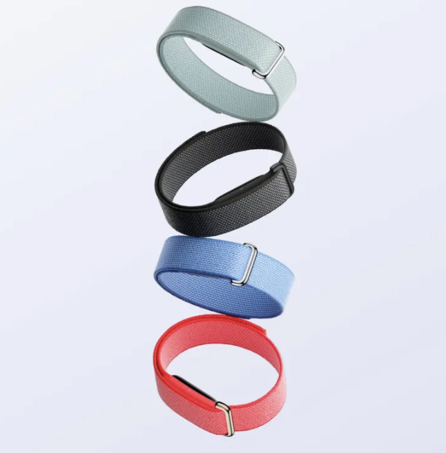 Google Fitbit Air