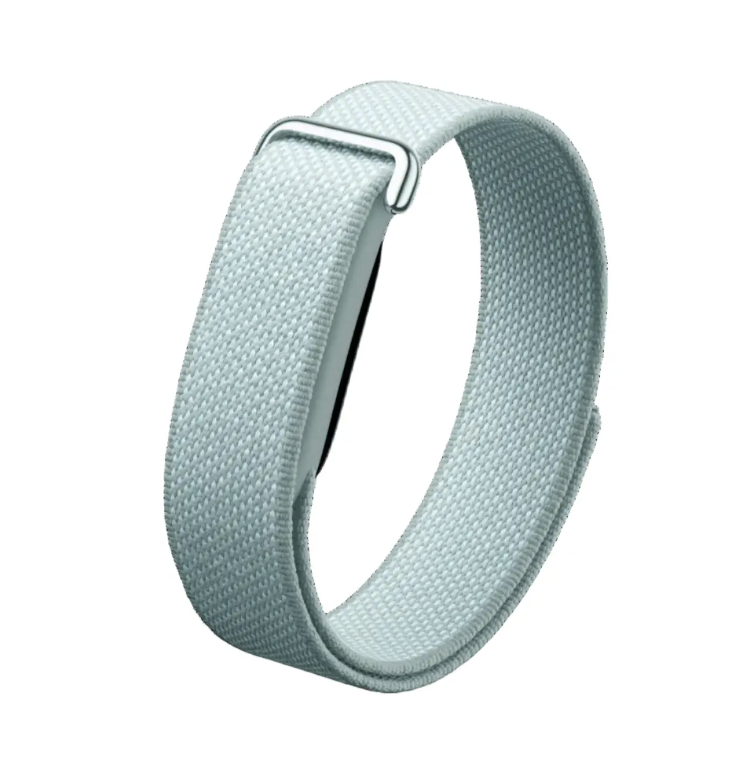 Google Fitbit Air - Image 5